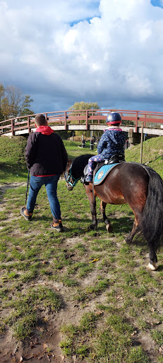 Hippisch Centrum Ouddorp - Thumbnail