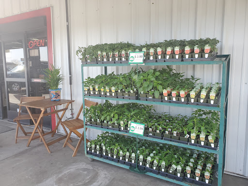 Strand Ace Hardware - Oakdale - Thumbnail