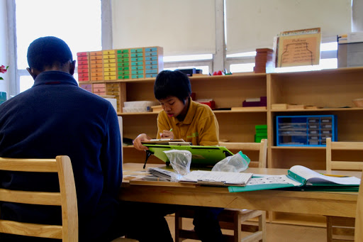 Libertas School of Memphis Gallery - United States