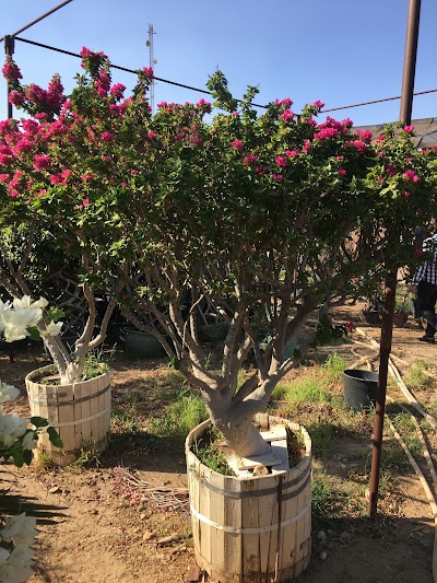 Photos of Else Garden Rorks accessories