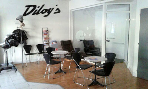Diloy's Castres - Commerce - Thumbnail