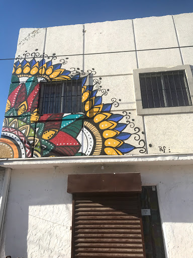 Kabrishka Café