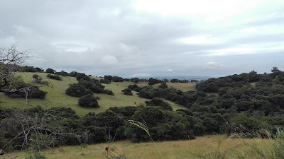 Photos of New Germany Nature Reserve