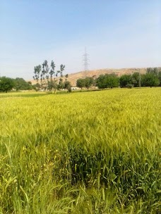 Kharmatu kohat