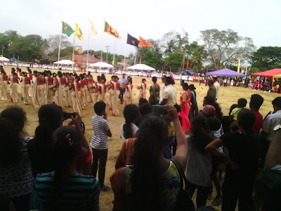 Photos of Newstead Girls College