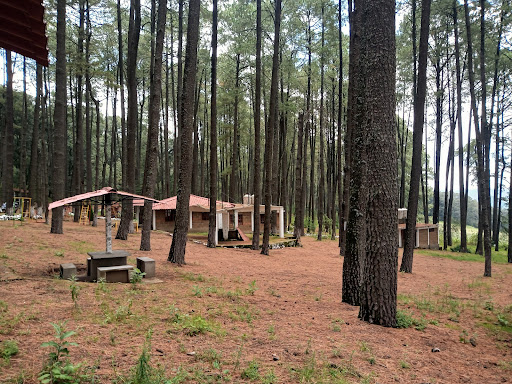 Ecoturistico San Felipe Pueblo Nuevo Park - Thumbnail