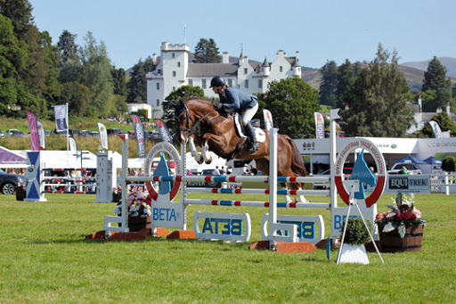 Tinderbox Sports Horses - Thumbnail