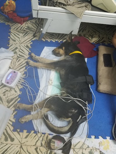 Photos of Veterinaria Patitas