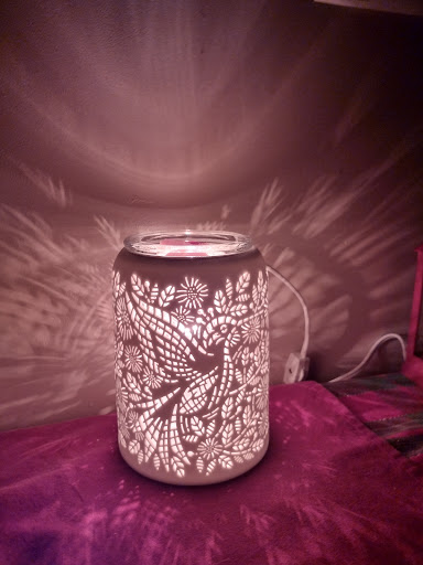 Scents and More with Niki Diserio, Independent Scentsy Consultant - Thumbnail