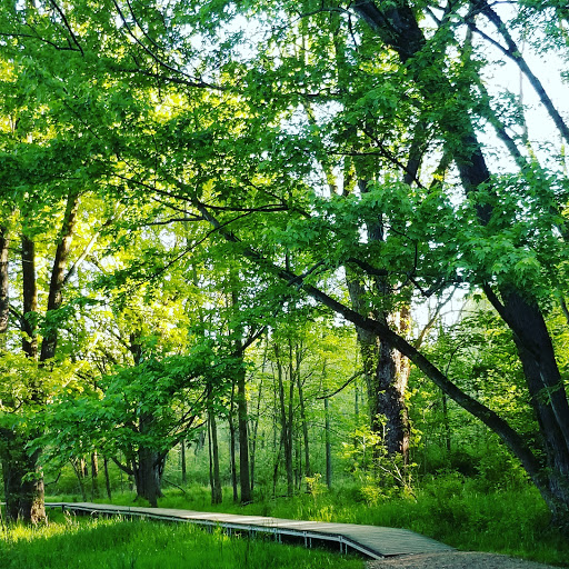Firestone Metro Park, Parking Lot - Thumbnail