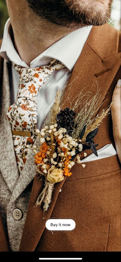 Drydecorations - Visual