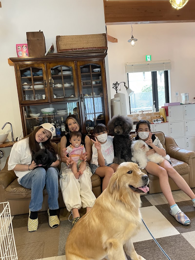 犬カフェ カタノダプラス