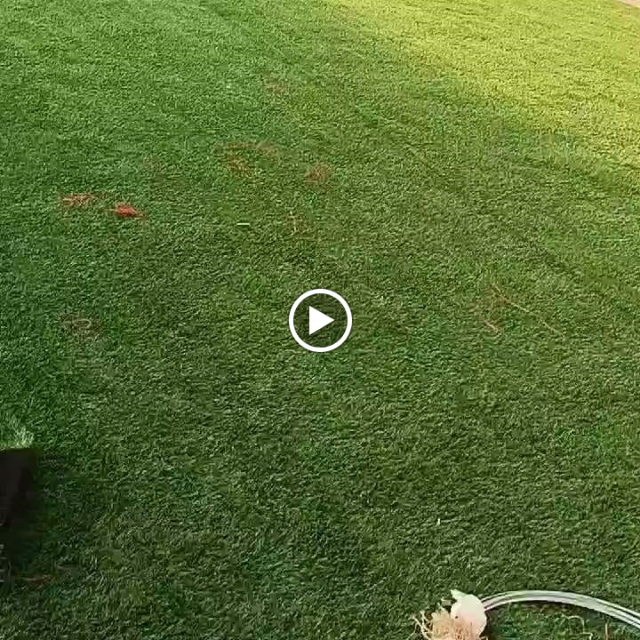 TURKMAN TAWAKAL CARPET TRADING - صورة 3