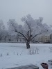 Фотография Feliz-тур (Официальный партнер Росстур), Иртышская набережная, Омск, Россия
