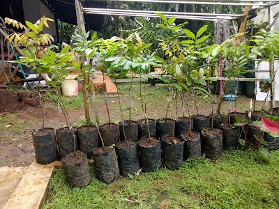 Photos of Bamsbreeder