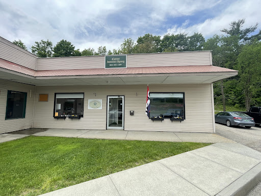 Dewitt Blake Insurance Agency - Thumbnail