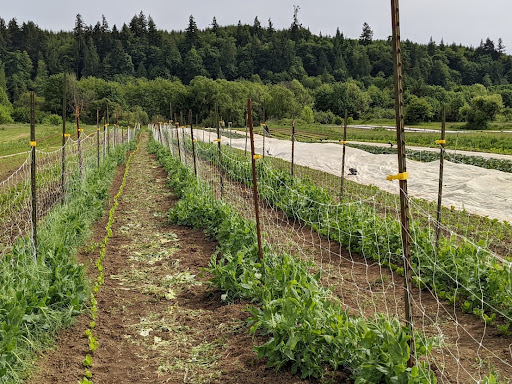 Agriculture Solutions LLC - Thumbnail