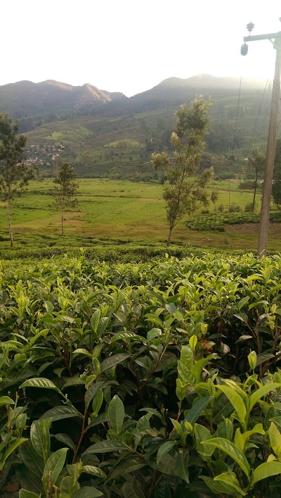 Photos of Indra Suppliers