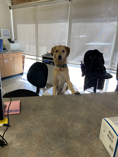 VCA Animal Care Center of Chicago