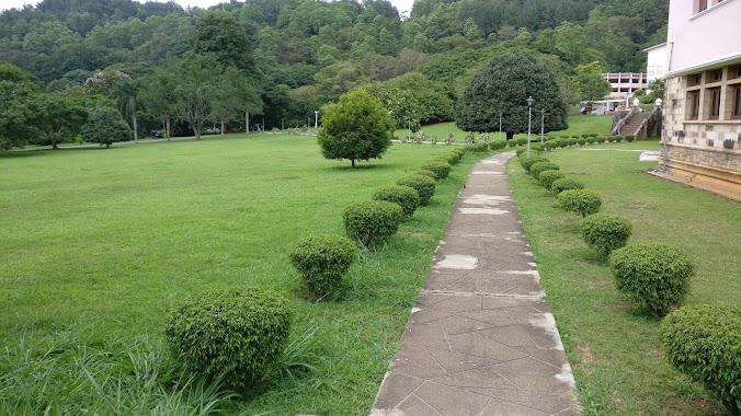 Faculty of Arts (කලා පීඨය), Author: Namila Bandara