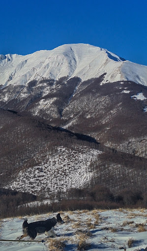 Monte Zuccalone - Thumbnail