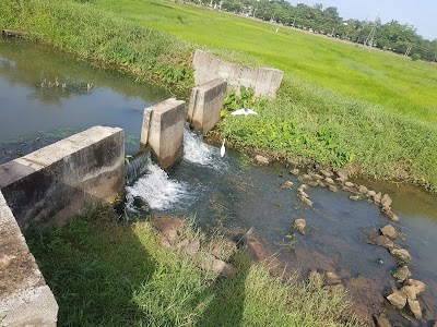 Photos of Kimbulawala Walk Way