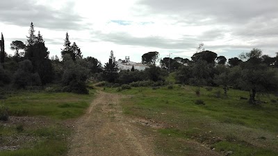 lodging