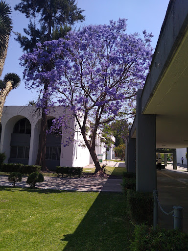 Edificio Q UMSNH - Visual
