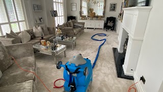 StayClean Carpet & Upholstery Cleaners