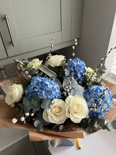 The Window Box - Visual