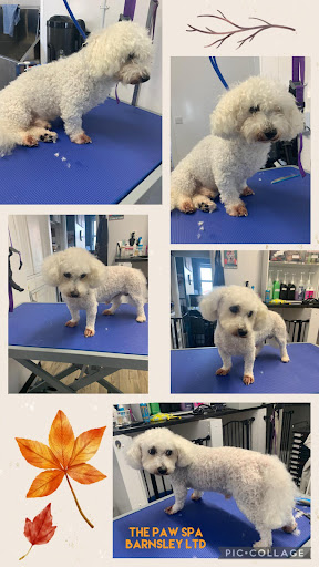 The Paw Spa Barnsley