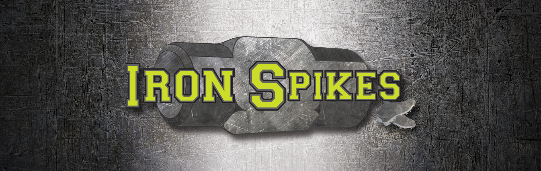 Iron Spikes Training photo 14