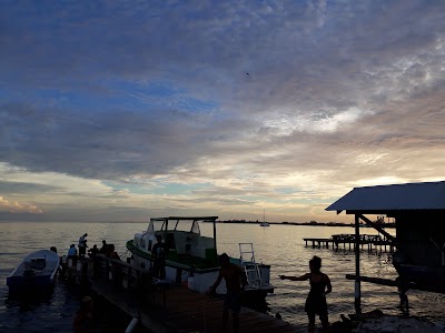 Photos of Paradise Divers