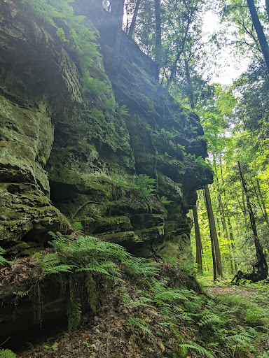 Nature's Way - Thumbnail