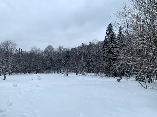 Wishart Park - Thumbnail