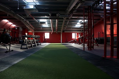 Photos of TJ Reid Health and Fitness