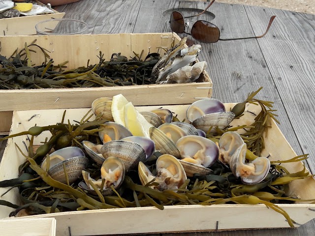 Ferme Marine Paimpolaise