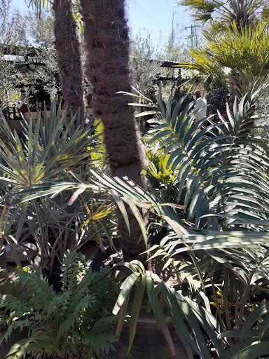 jardin-es arte al natural nextipac - Thumbnail