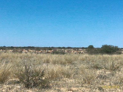 Photos of Jwana Game Park