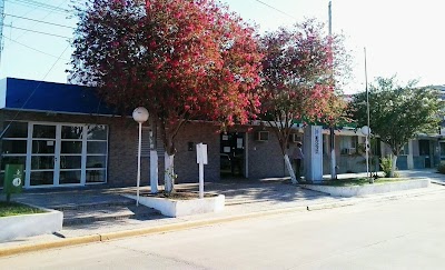 local-government-office