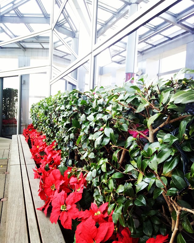 AER Observation Terrace