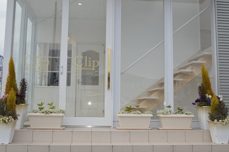 Hair Collection Clip