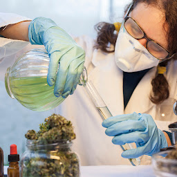 Photo n°19 de CBD GUEBWILLER 24H/24H BIO HEMP DISTRIBUTEUR à Guebwiller (Magasin de cannabis)