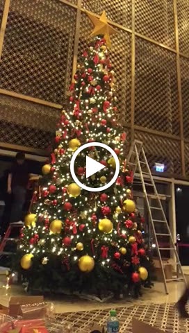 Petals Flowers and Events - صورة 3