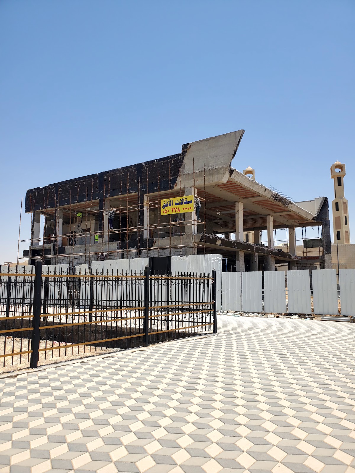 دجاج الأفق - صورة 2