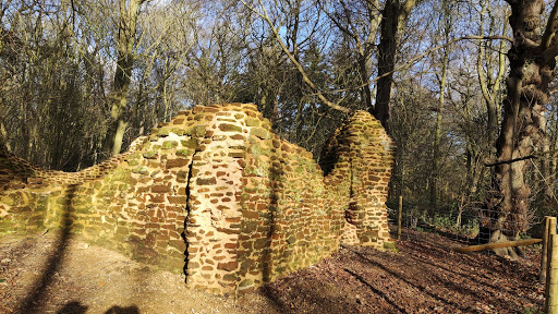 Snettisham Woods - Thumbnail