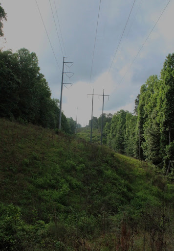 Forsyth County - Visual