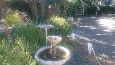 Photos of B & B @ Bloem