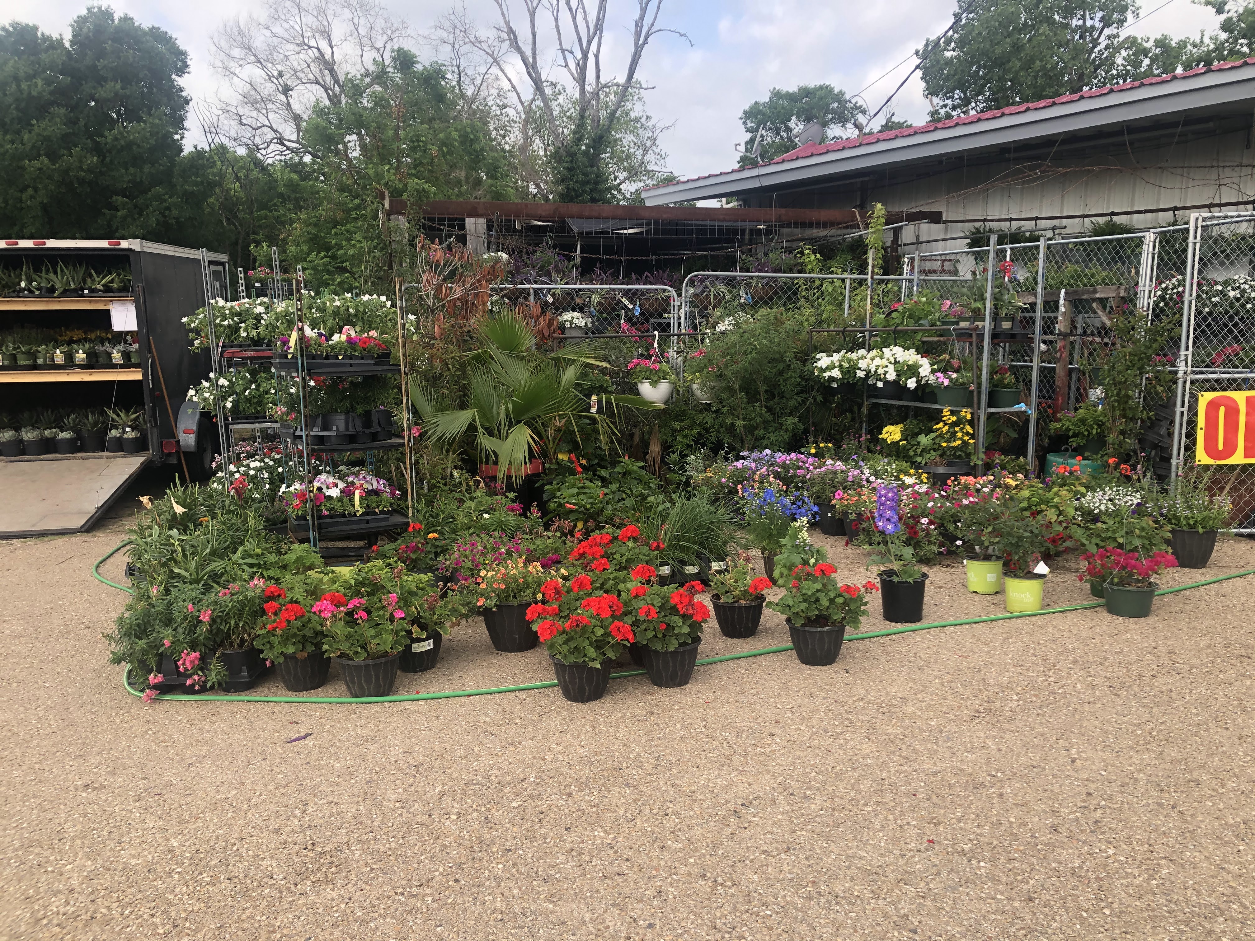 Green Land Nursery