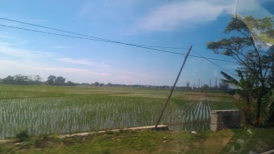 Photos of Pertamina Balongan